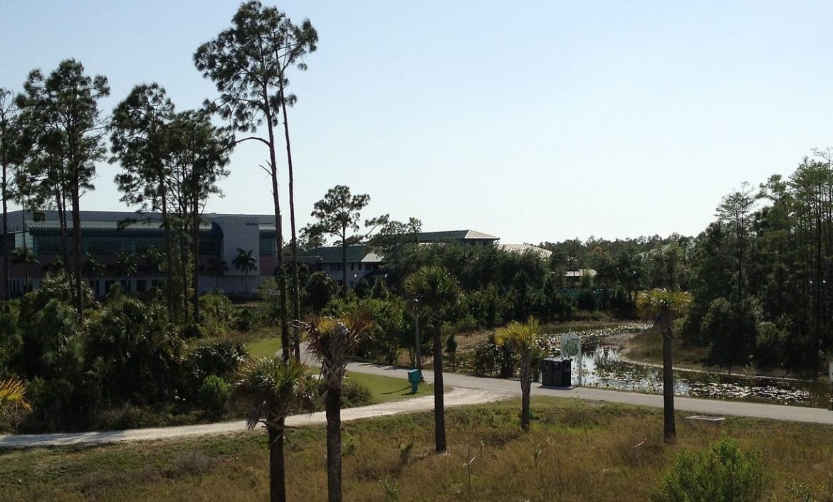 Florida Gulf Coast University
