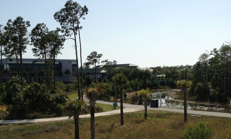 32 Interesting Facts about Florida Gulf Coast University - World's Facts