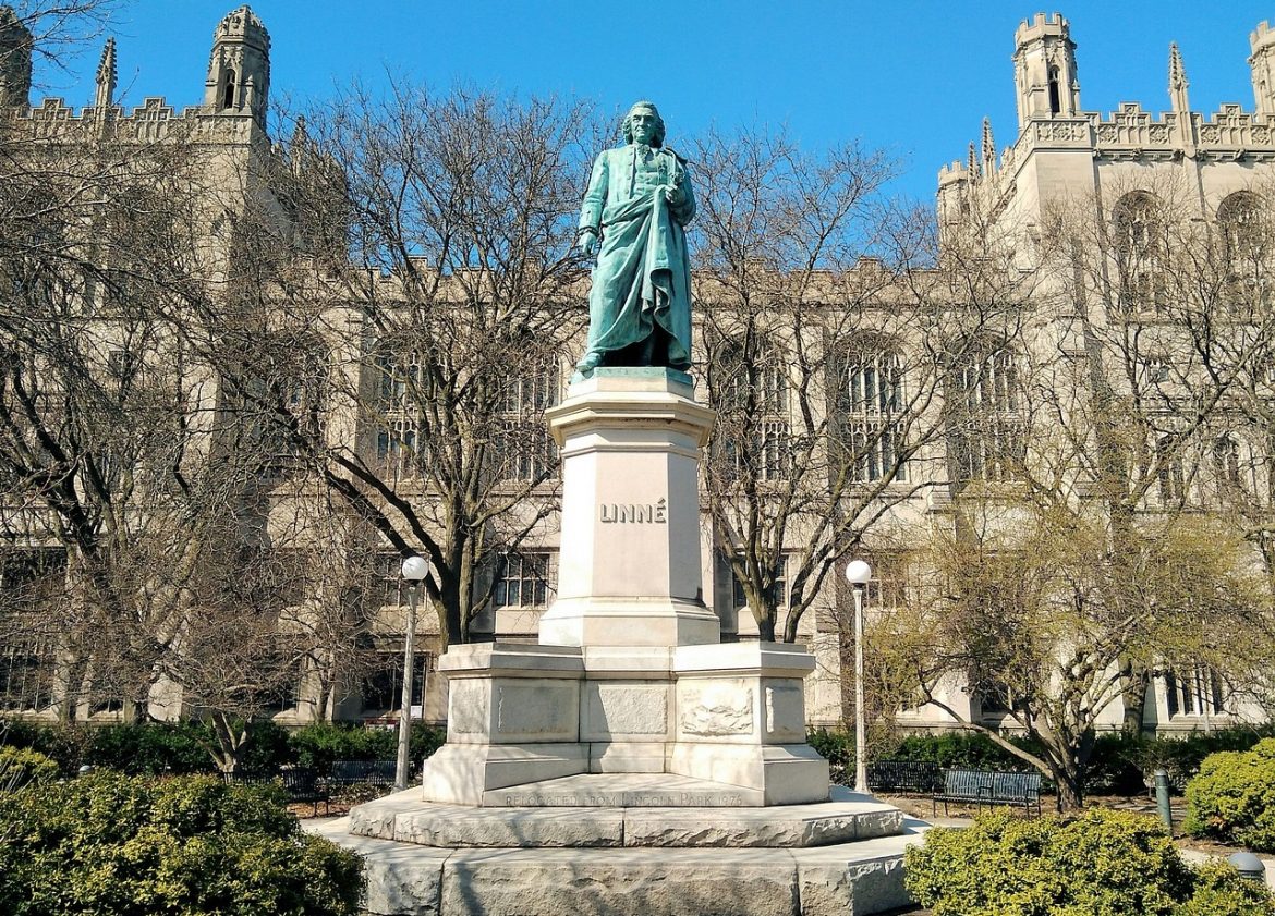 University of Chicago