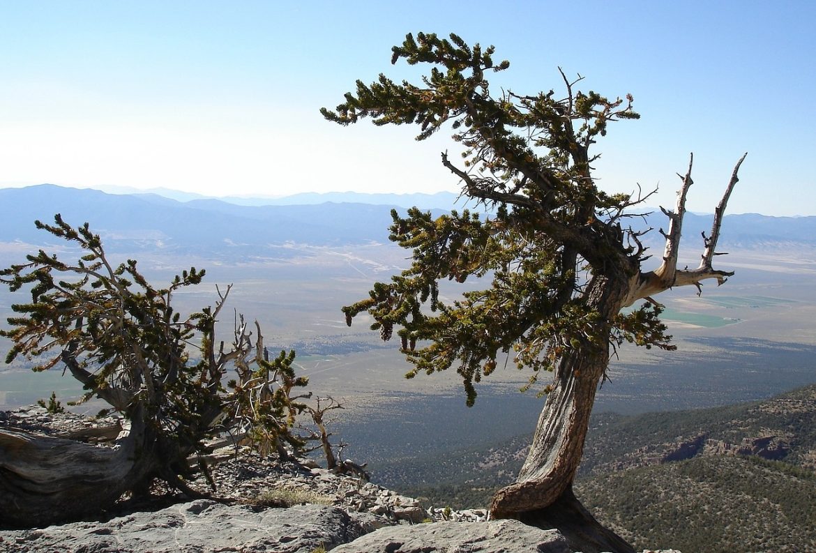 Great Basin National Park