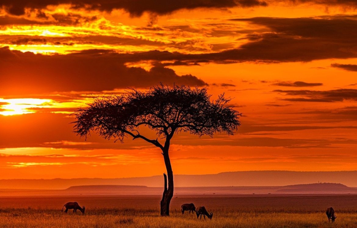 Maasai Mara National Reserve