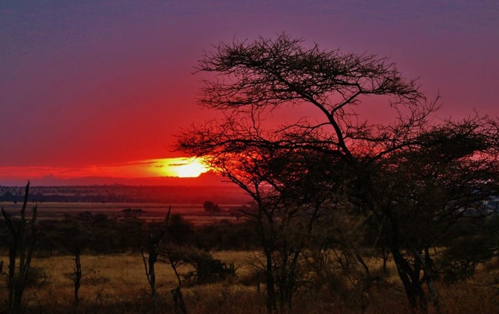 Sunrise in Serengiti National Park