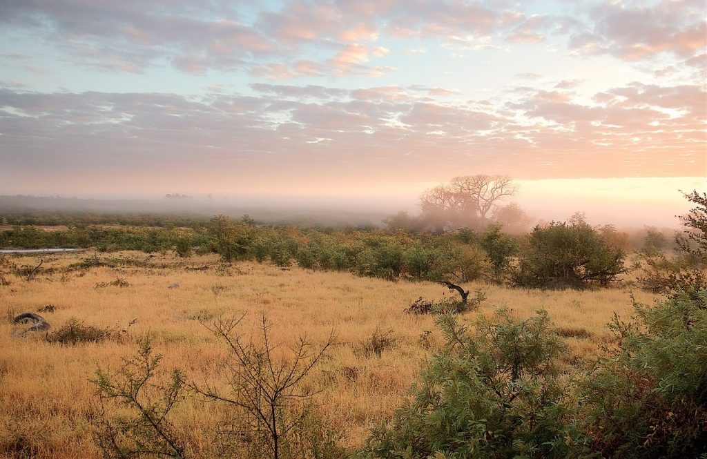 Kruger National Park