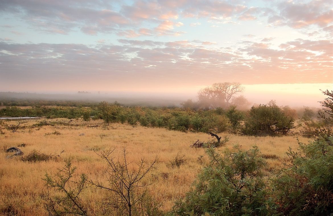 Kruger National Park