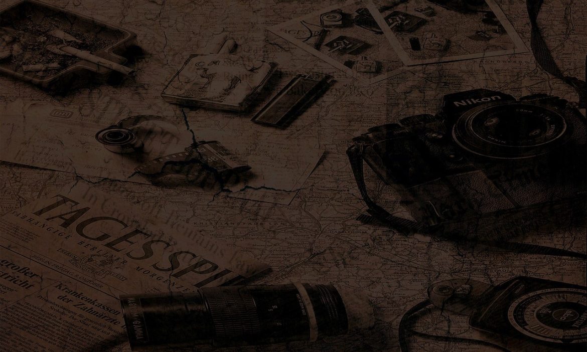 Investigative journalist