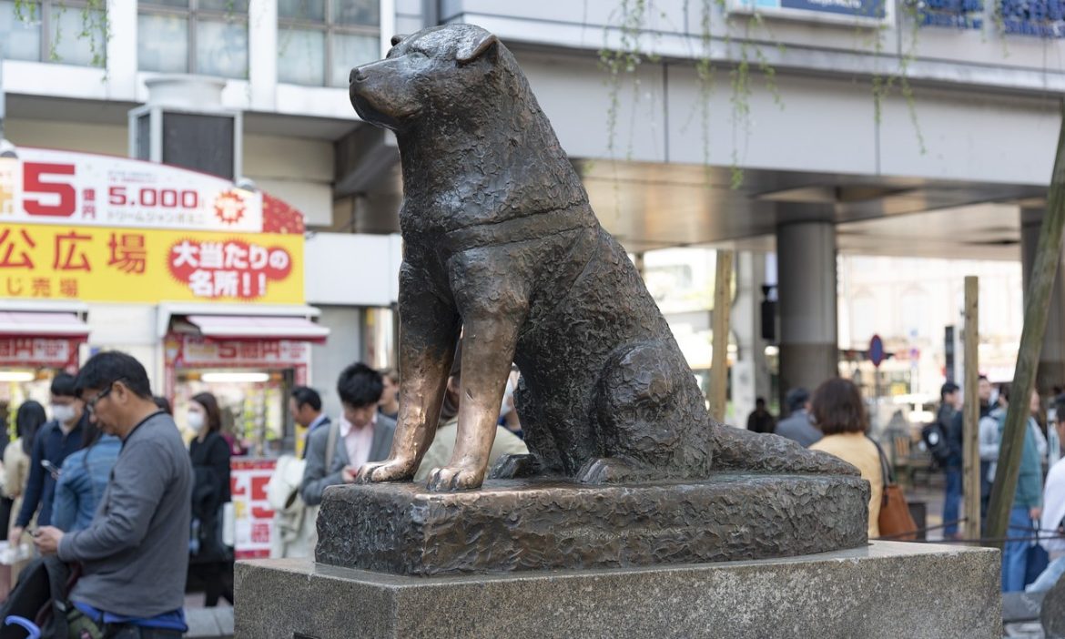 Hachiko statue