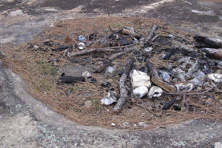 28 Interesting Facts about Habitat Destruction World's Facts