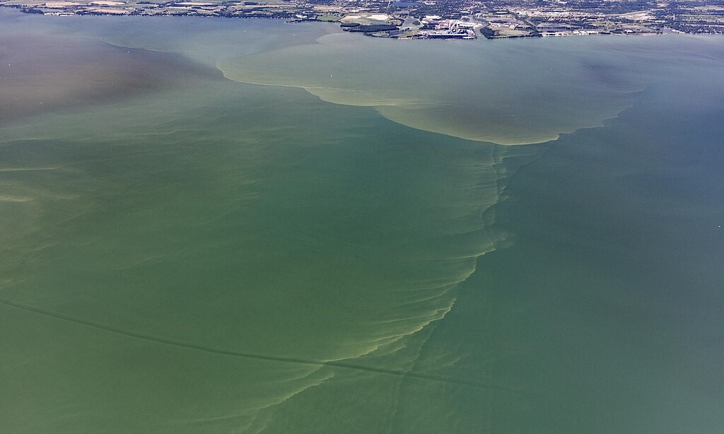 Harmful Algal Bloom in Western Lake Erie July 9, 2018