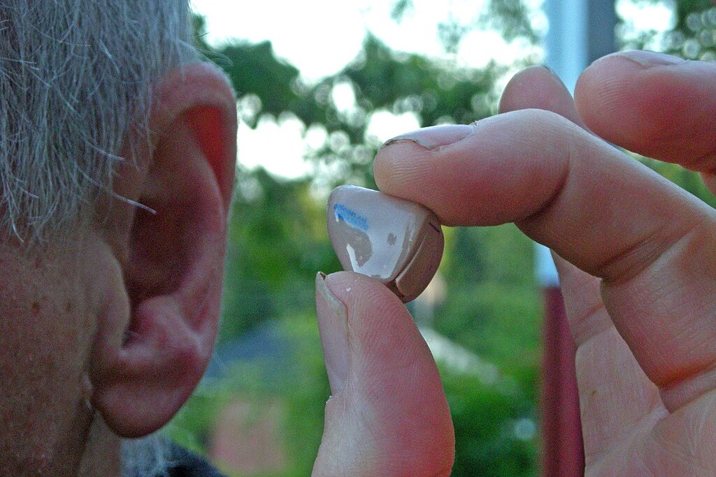 Hearing aid
